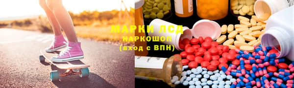 крисы Ельня