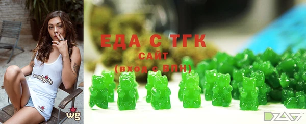 крисы Ельня