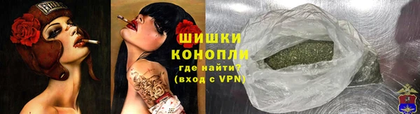 крисы Ельня