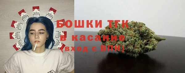 крисы Ельня