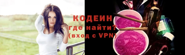крисы Ельня