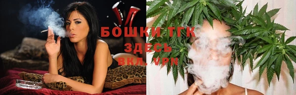 крисы Ельня