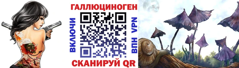 Галлюциногенные грибы Cubensis  Купить закладки  Муравленко 