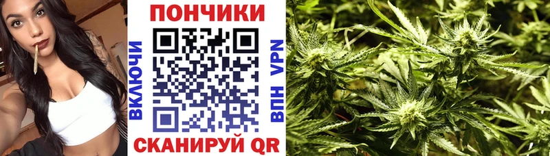 Купить где  Муравленко  Бошки Шишки MAZAR 
